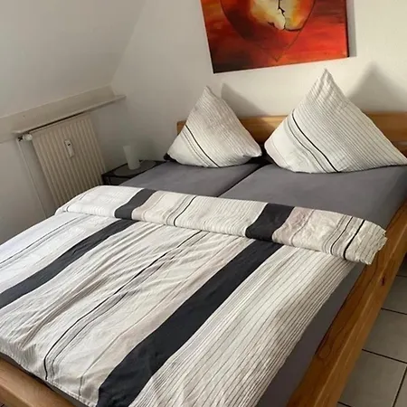 Haenke Nr 20